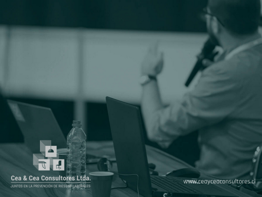 Cea & Cea Consultores Ltda.