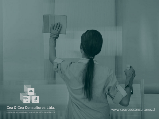 Cea & Cea Consultores Ltda.
