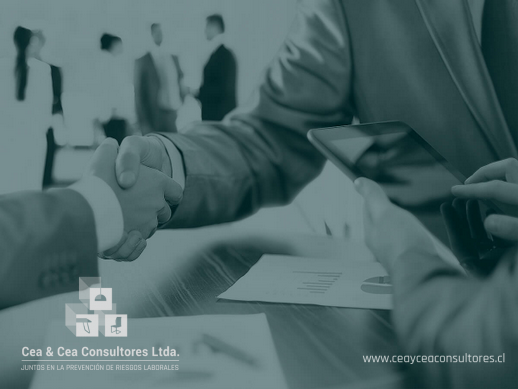 Cea & Cea Consultores Ltda.