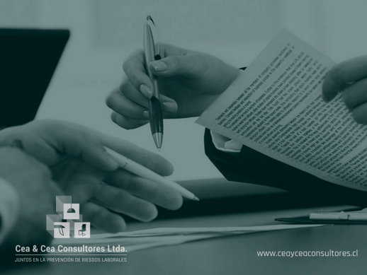 Cea & Cea Consultores Ltda.